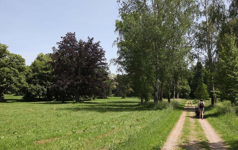 74 - Park und Schloss Konopiště - machen Sie einen Spaziergang um den Teich herum und durch den Schlosspark (41 km)